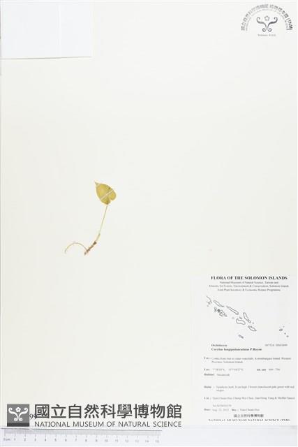 登錄號:BS03499藏品圖，第1張