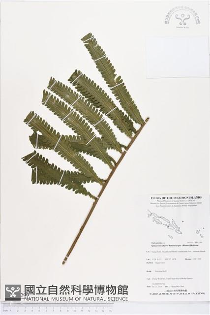 登錄號:BP02299藏品圖，第1張