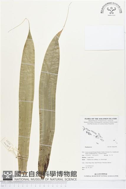 登錄號:BS02299藏品圖，第1張