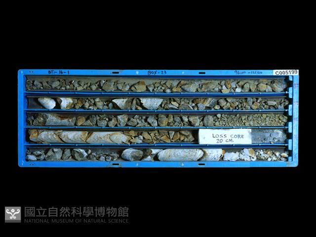 登錄號:C005199藏品圖，第1張