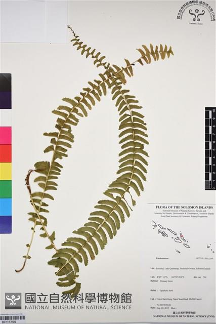 登錄號:BP03299藏品圖，第1張