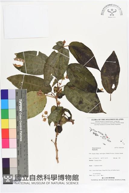 登錄號:BS07299藏品圖，第1張