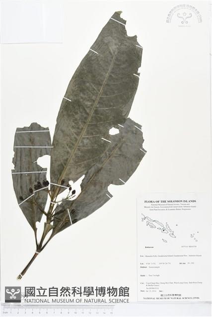 登錄號:BS04799藏品圖，第1張