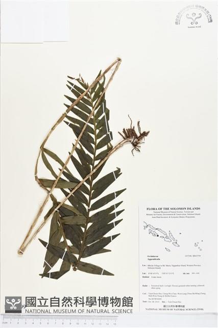 登錄號:BS03799藏品圖，第1張