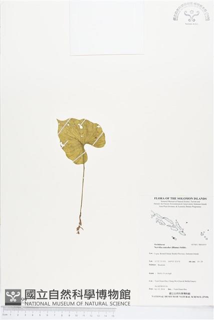 登錄號:BS04599藏品圖，第1張