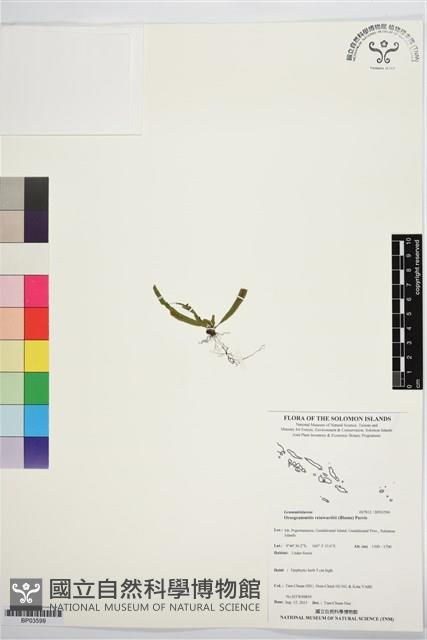 登錄號:BP03599藏品圖，第1張