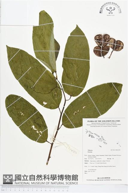 登錄號:BS02399藏品圖，第1張