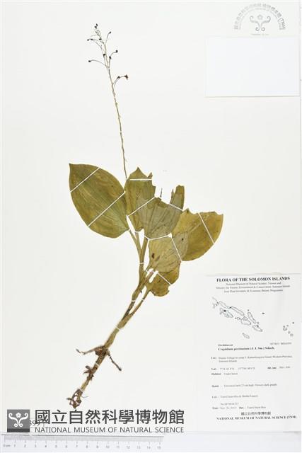 登錄號:BS04399藏品圖，第1張