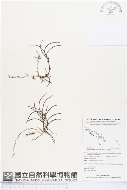 登錄號:BS03399藏品圖，第1張