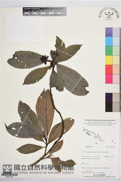 登錄號:BS07399藏品圖，第1張