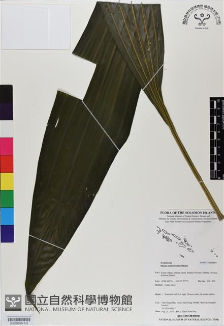 登錄號:BS06869藏品圖，第1張