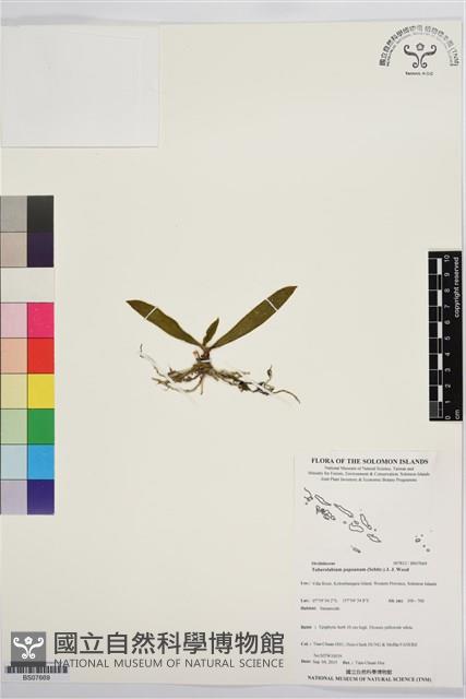 登錄號:BS07669藏品圖，第1張