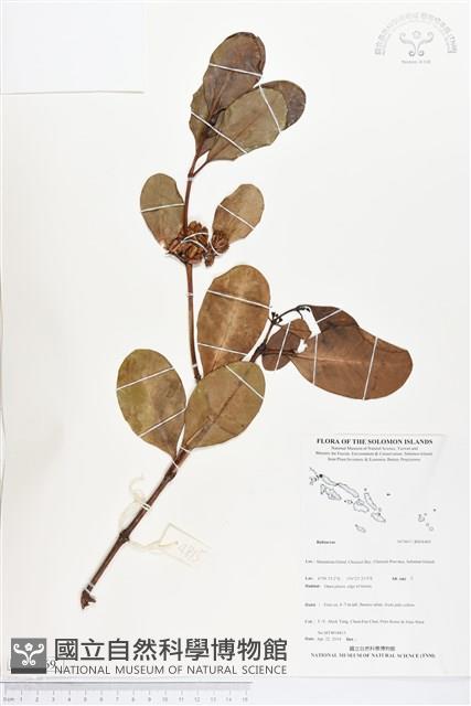 登錄號:BS04469藏品圖，第1張