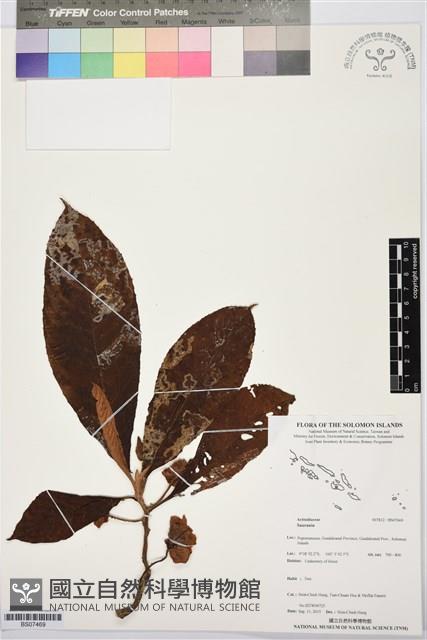 登錄號:BS07469藏品圖，第1張