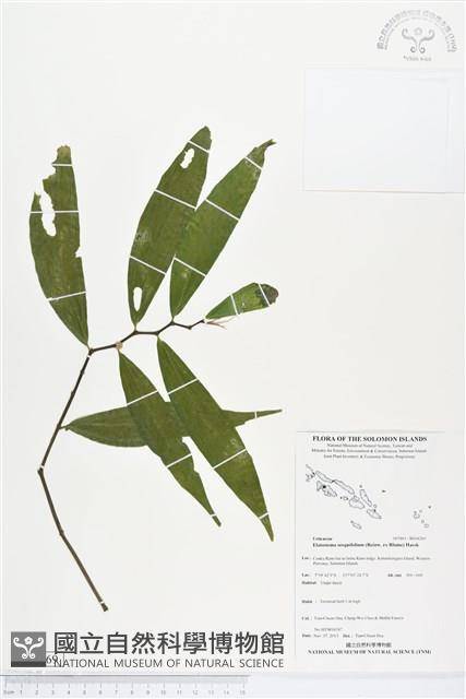 登錄號:BS04269藏品圖，第1張