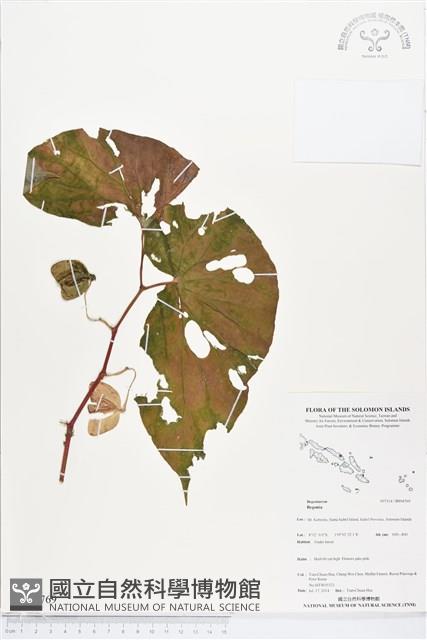 登錄號:BS04769藏品圖，第1張