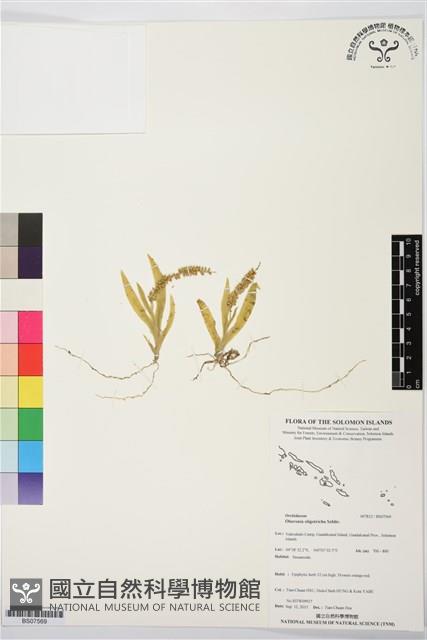 登錄號:BS07569藏品圖，第1張