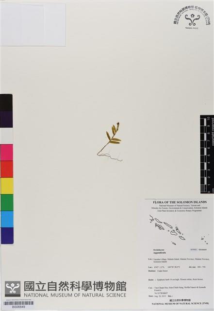 登錄號:BS06849藏品圖，第1張