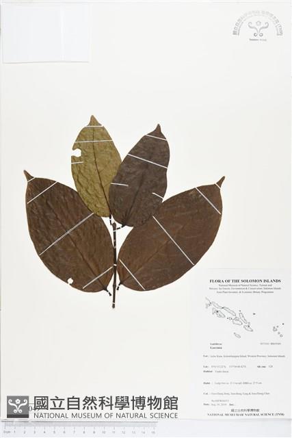 登錄號:BS05049藏品圖，第1張
