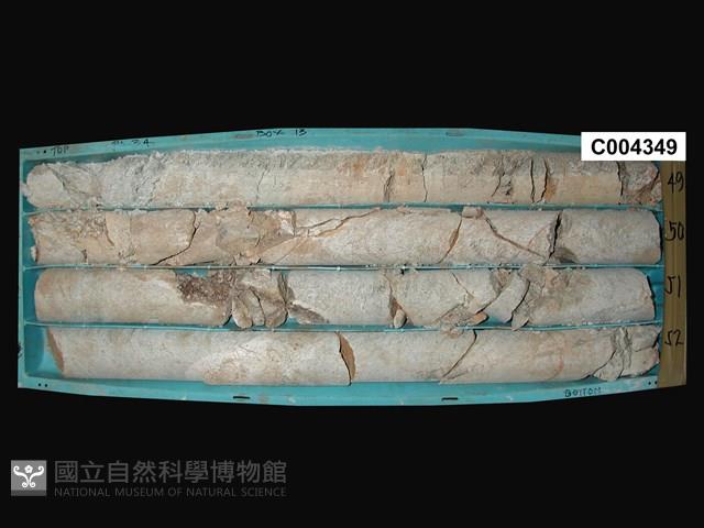 登錄號:C004349藏品圖，第1張