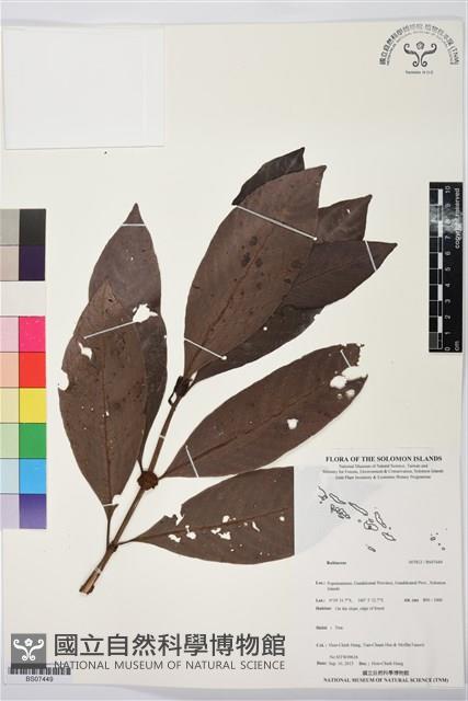 登錄號:BS07449藏品圖，第1張