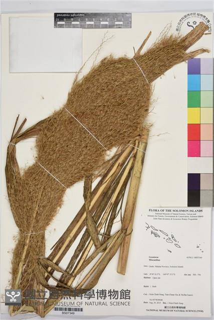 登錄號:BS07349藏品圖，第1張