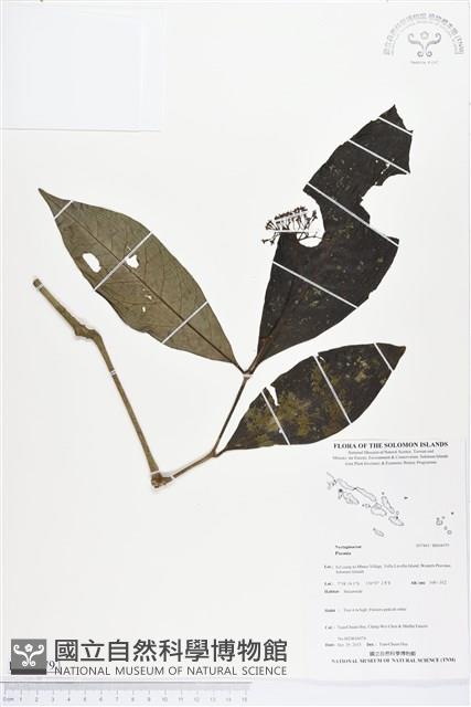 登錄號:BS04079藏品圖，第1張