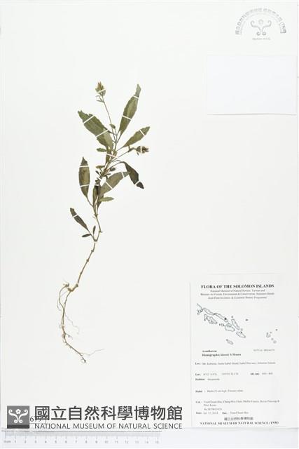 登錄號:BS04679藏品圖，第1張