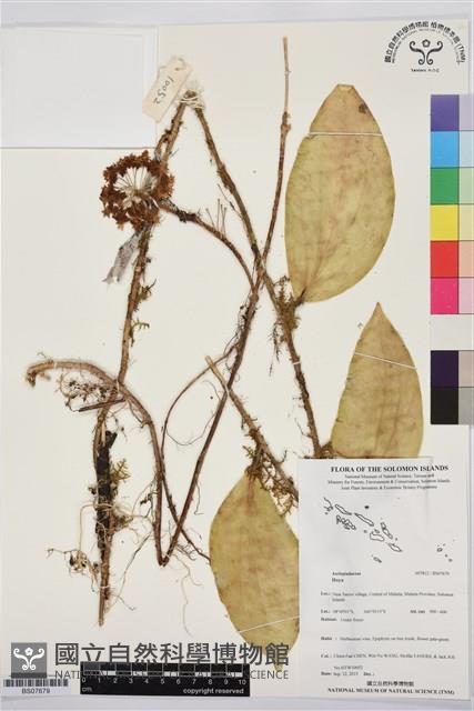 登錄號:BS07679藏品圖，第1張