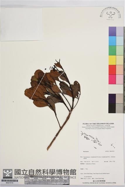 登錄號:BS07479藏品圖，第1張