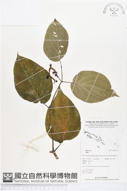 登錄號:BS03279藏品圖，第1張