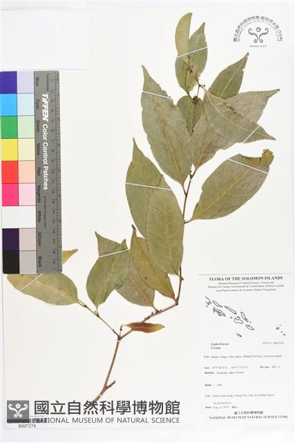 登錄號:BS07279藏品圖，第1張