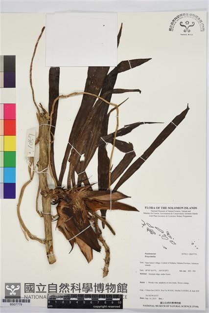 登錄號:BS07779藏品圖，第1張