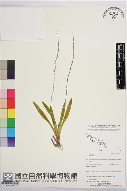 登錄號:BS07579藏品圖，第1張