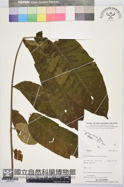 登錄號:BS07379藏品圖，第1張