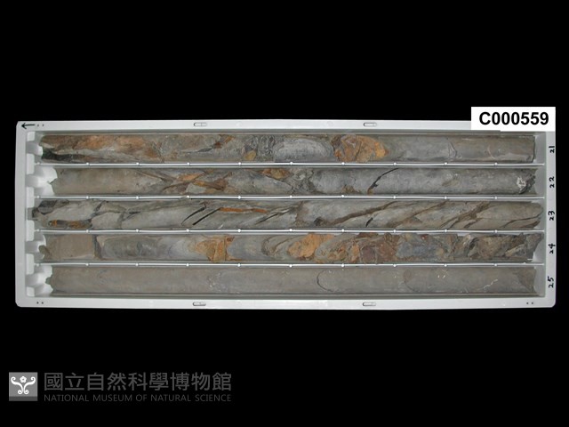 登錄號:C000559藏品圖，第1張