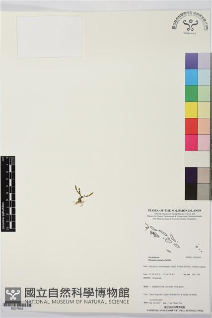 登錄號:BS07659藏品圖，第1張