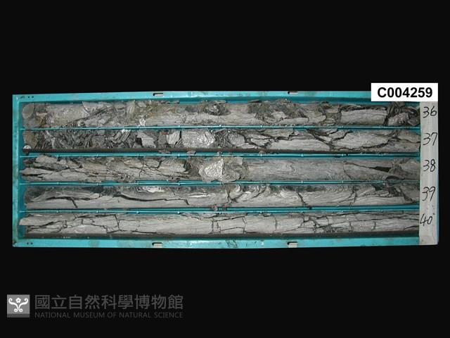 登錄號:C004259藏品圖，第1張