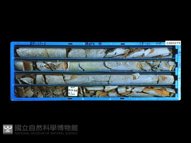 登錄號:C005219藏品圖，第1張