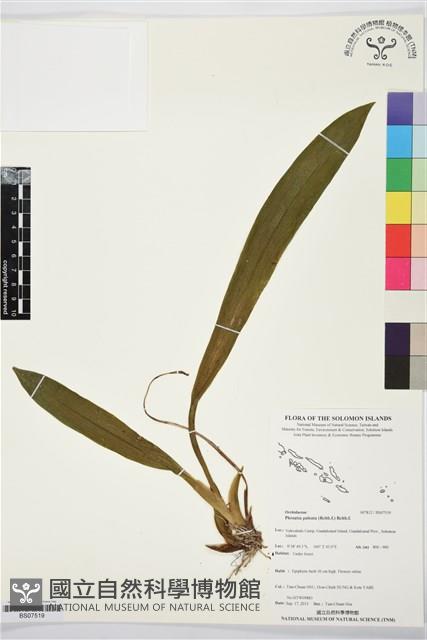 Accession Number:BS07519 Collection Image