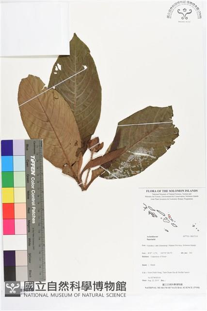 登錄號:BS07319藏品圖，第1張