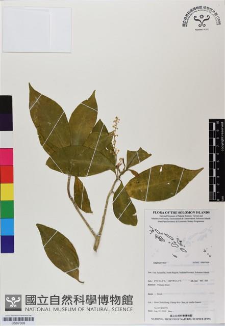 登錄號:BS07009藏品圖，第1張