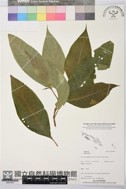 登錄號:BS07409藏品圖，第1張