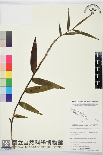 登錄號:BS07639藏品圖，第1張