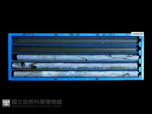 登錄號:C005239藏品圖，第1張