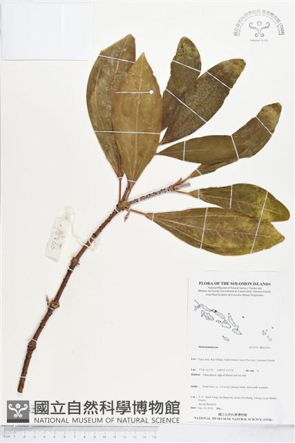 登錄號:BS05239藏品圖，第1張