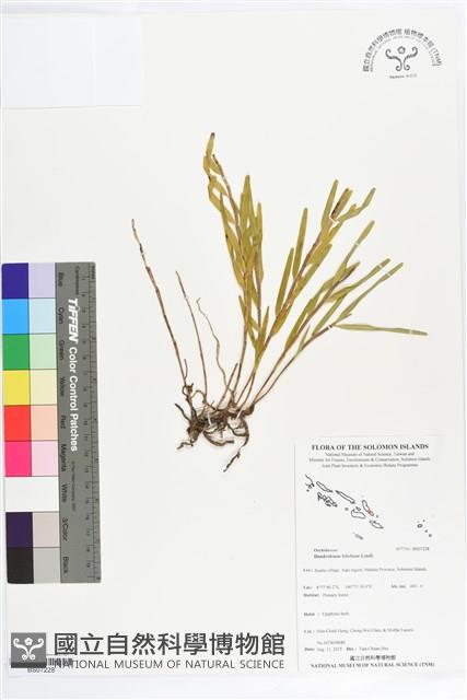 登錄號:BS07228藏品圖，第1張