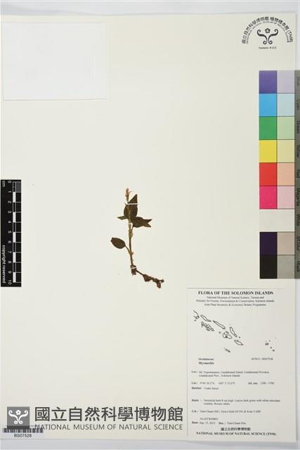 登錄號:BS07528藏品圖，第1張