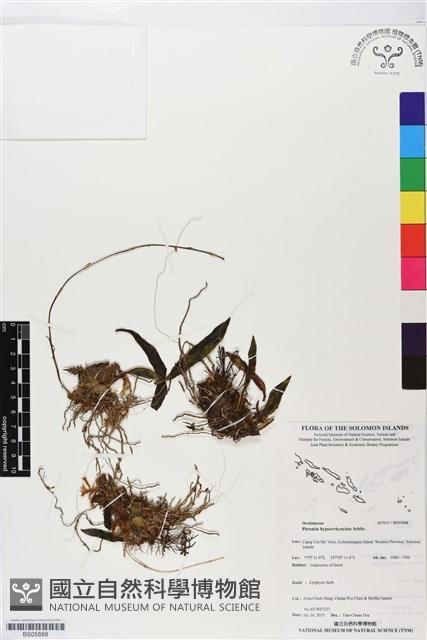 登錄號:BS05888藏品圖，第1張