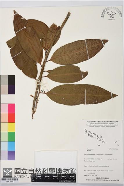 登錄號:BS07888藏品圖，第1張